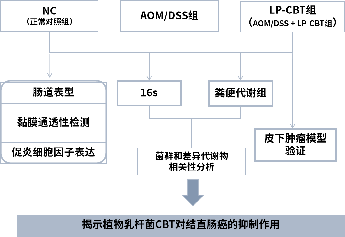 图片11.png