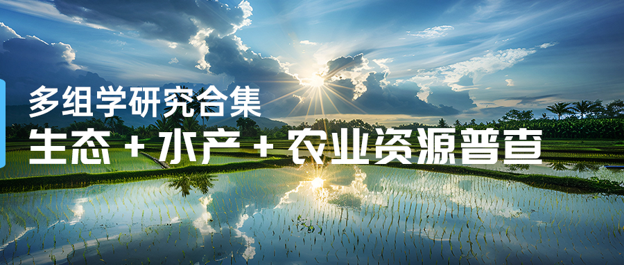 内图.jpg