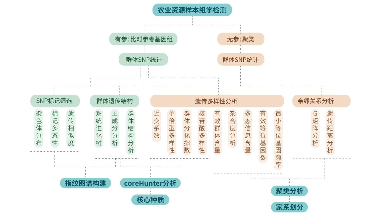 图片12.png