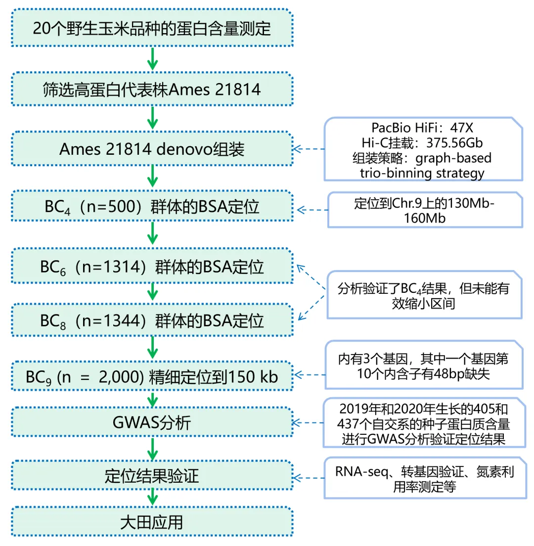 图片14.png
