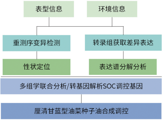 图片16.png