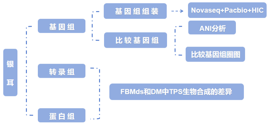 图片14.png
