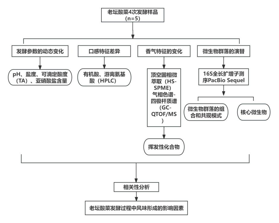 图片3.png