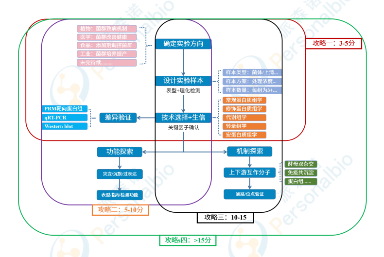 1水印.png