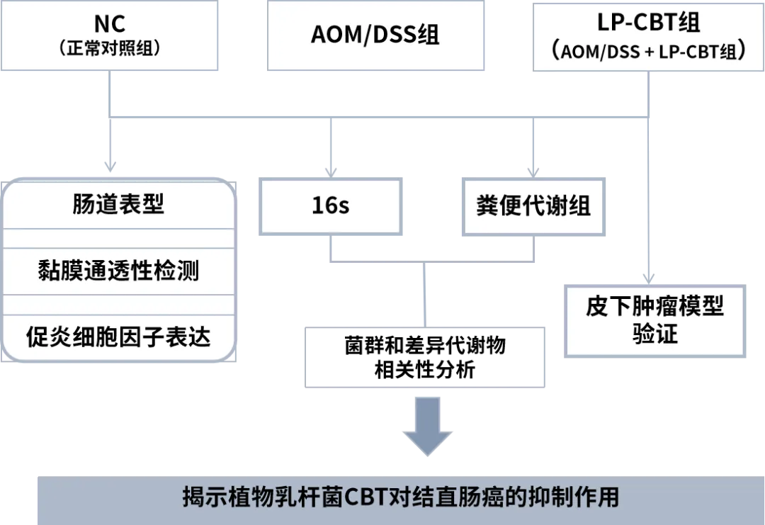 图片13.png