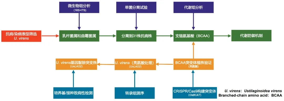 图片4.png