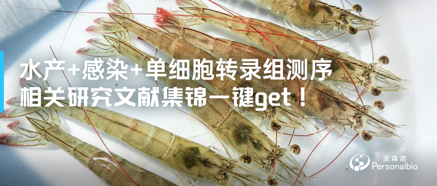 水产+感染+单细胞转录组测序(3).jpg