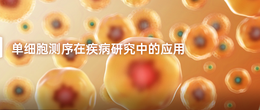 单细胞测序在疾病研究中的应用-(1).jpg