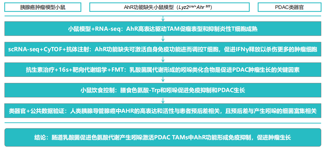 图片23.png