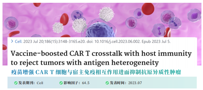 图片25.png