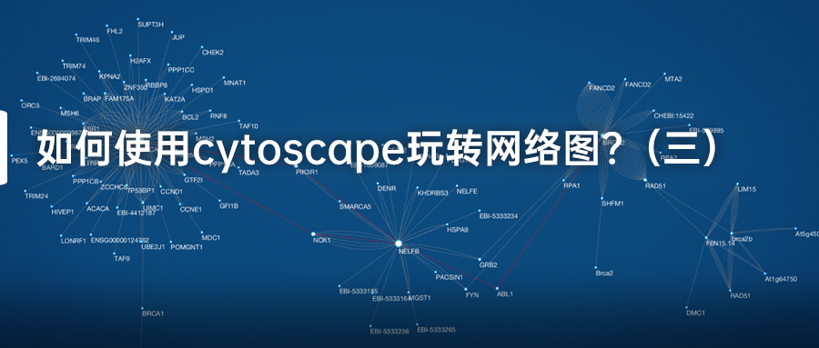 如何使用cytoscape玩转网络图？.jpg