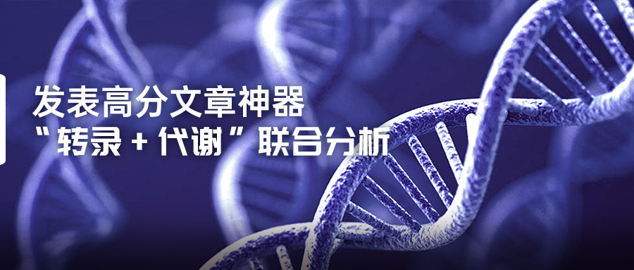 发表高分文章利器：“转录+代谢”联合分析-(1).jpg