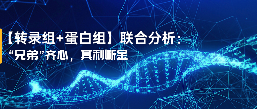 公众号首图封面-文章0729(1).jpg