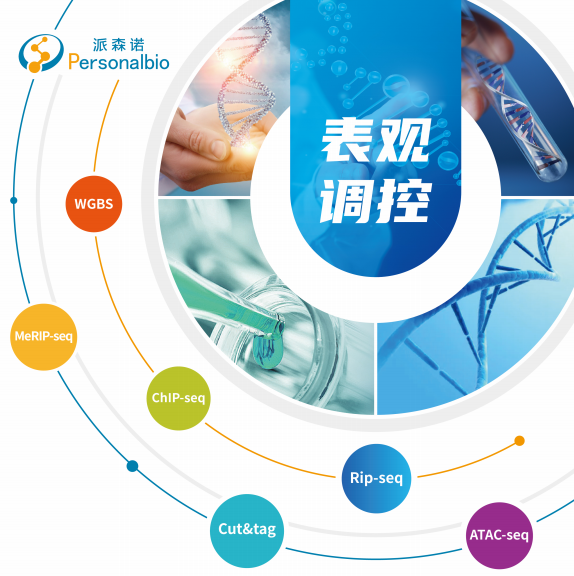 图片9.png
