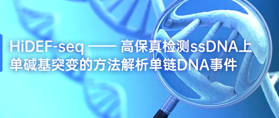 公众号首图封面-0801(1).jpg