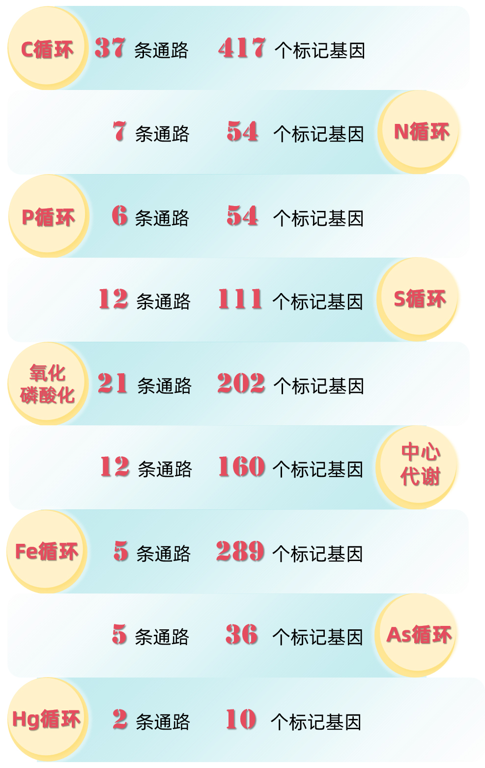 数字版(1).jpg