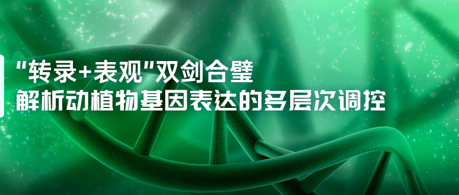 内页.jpg