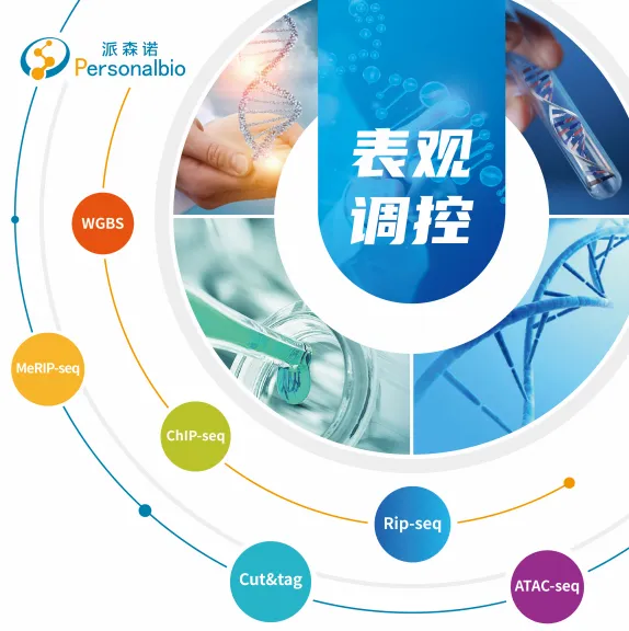 图片12.png