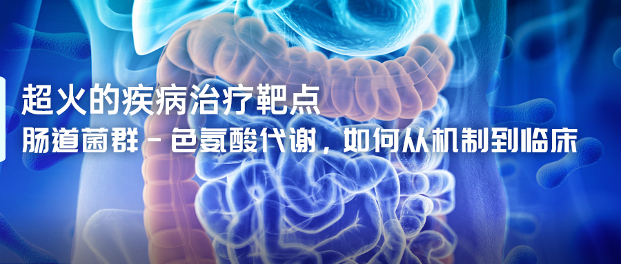 肠道菌群-色氨酸代谢，如何从机制到临床-(1).jpg