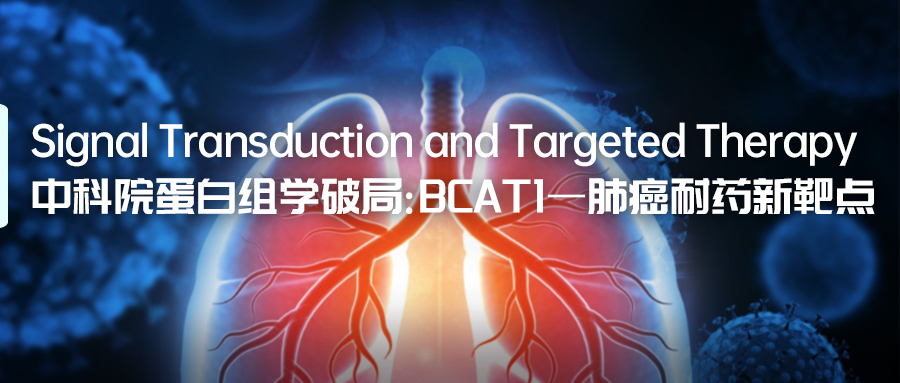 中科院蛋白组学破局：BCAT1—肺癌耐药新靶点-(3).jpg