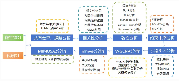 未命名1725241409.png
