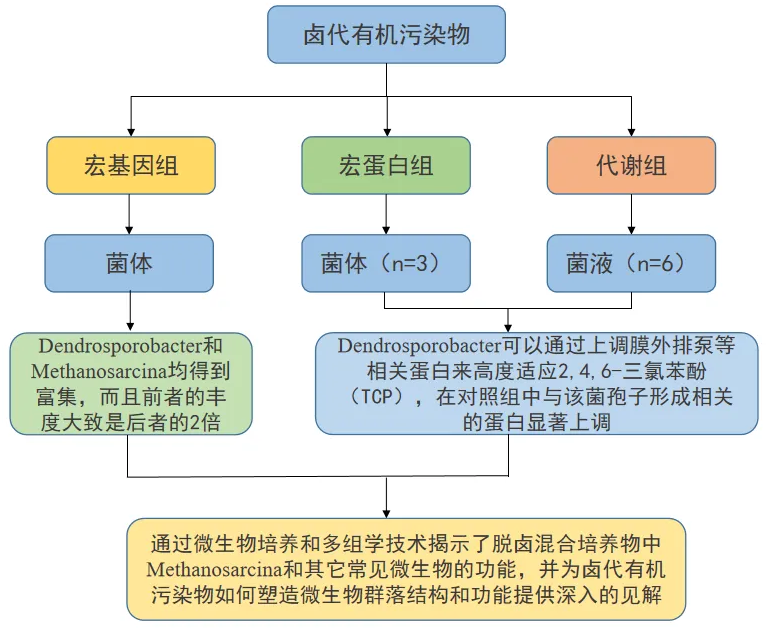图片22.png