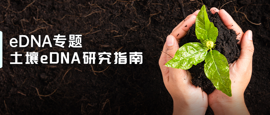 土壤eDNA研究指南-(1).jpg