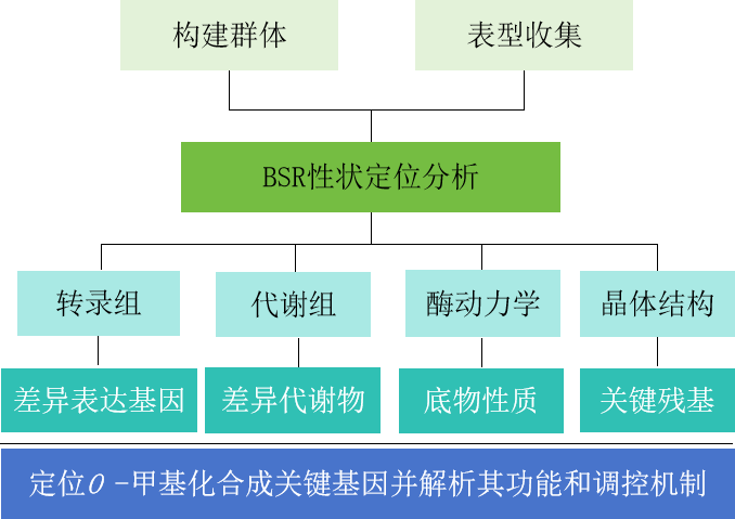 图片9.png