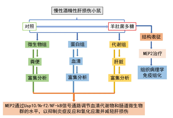 未命名1726626489.png