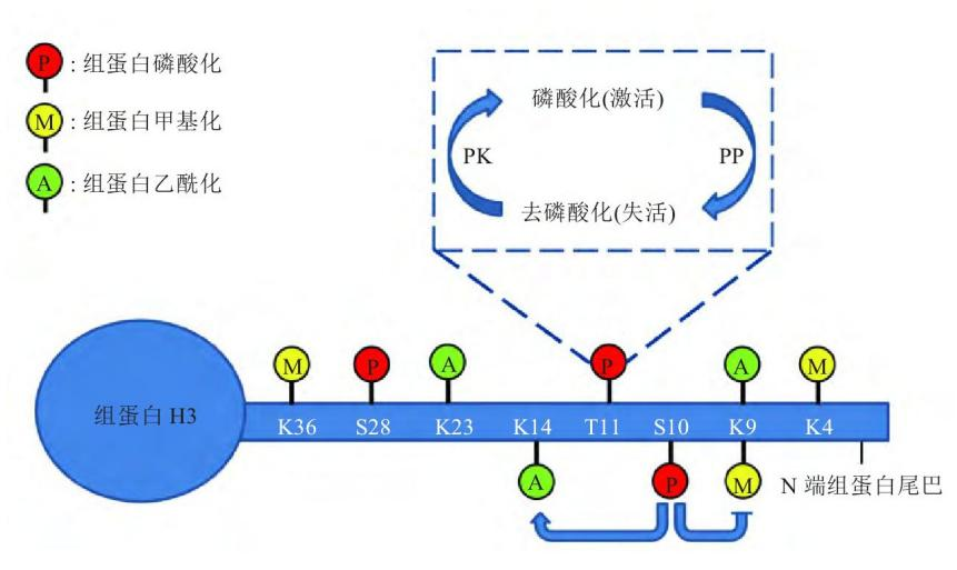 图片10.png