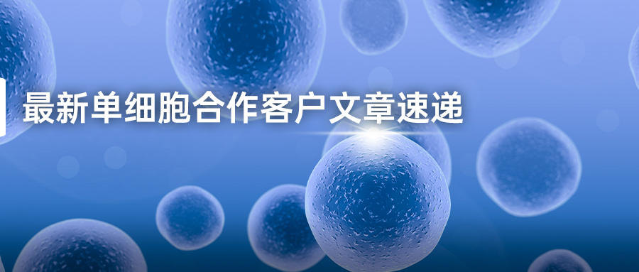 最新单细胞合作客户文章速递-(3).jpg