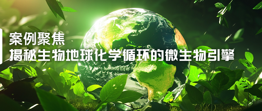 揭秘生物地球化学循环的微生物引擎-(1).jpg