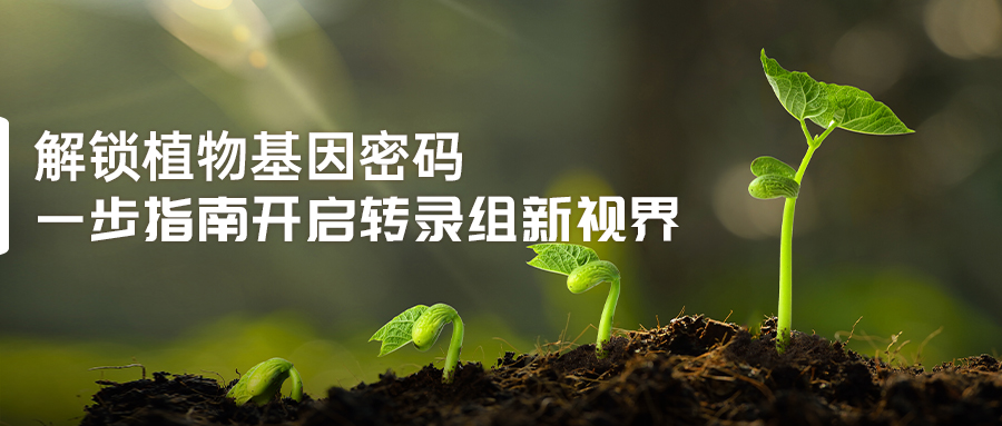 一步指南开启转录组新视界-(1).jpg