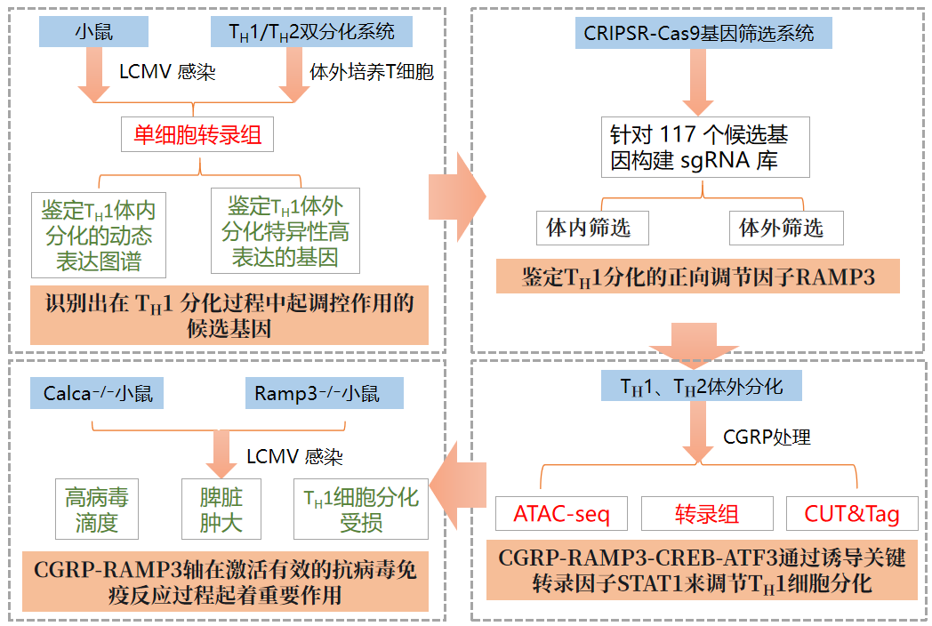 图片12.png
